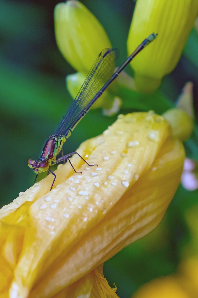 Photograph by Демьян Лопатов