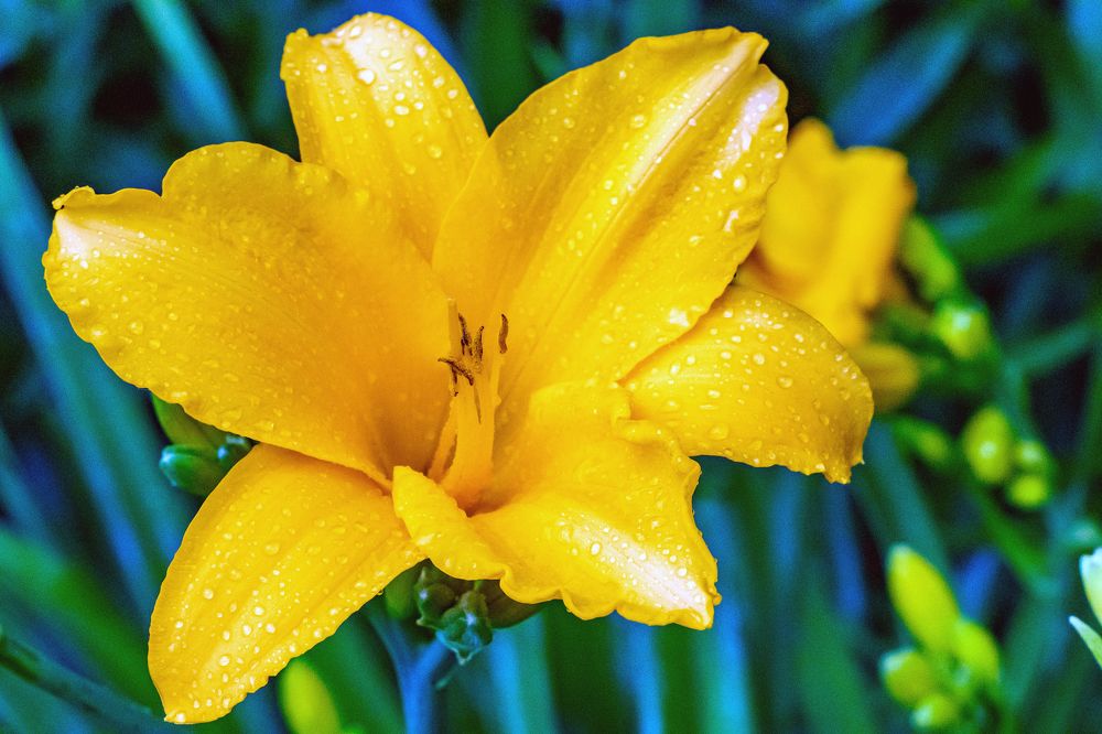 Photograph by Демьян Лопатов