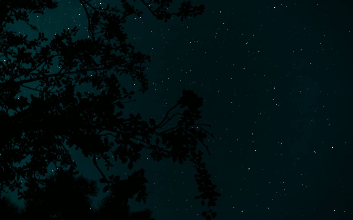 Photo #10872049