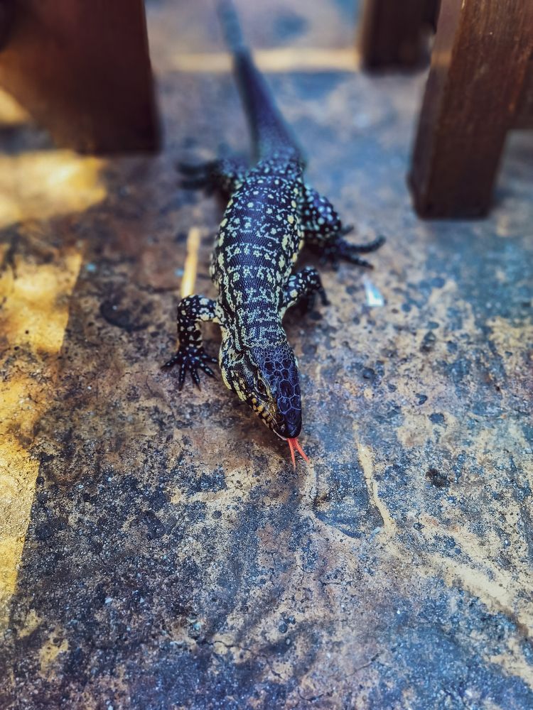 Photograph by Сергей Аверченко