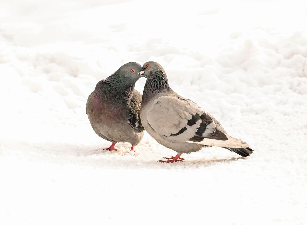 Photograph by Tanzilya Gabidullina