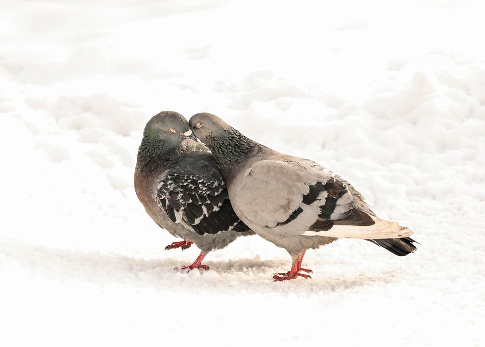 Photograph by Tanzilya Gabidullina