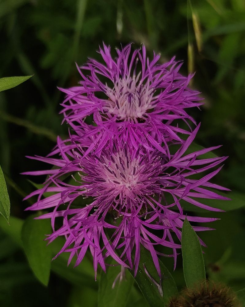 Photograph by Елена Попова