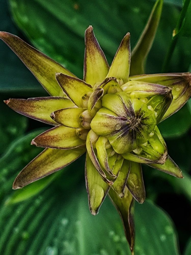 Photograph by Ирина Горбач