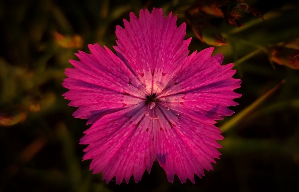 Photograph by Елена Попова