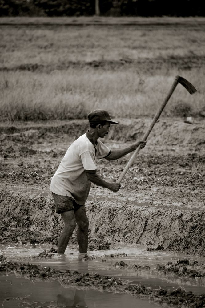 Photograph by Hashin Maharambage