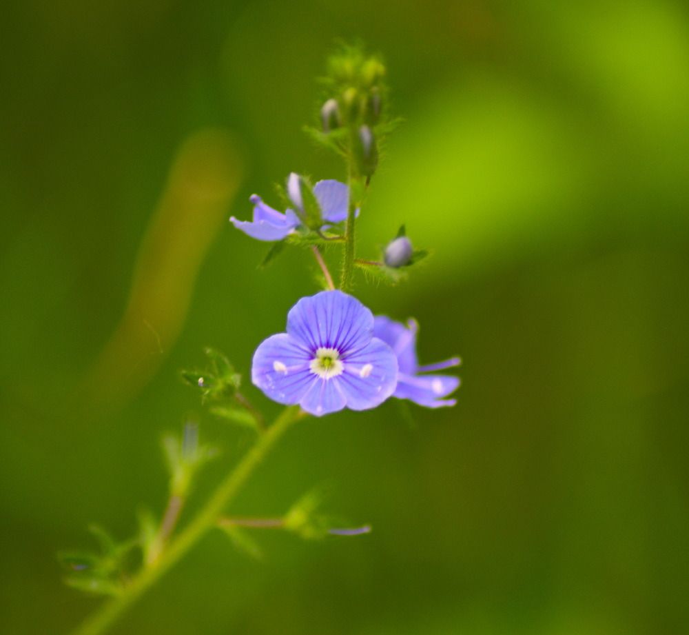 Photograph by Сергей Владимирович Егоров