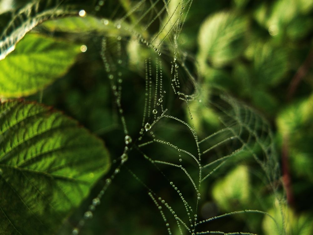 Photograph by Ирина Сергейчук
