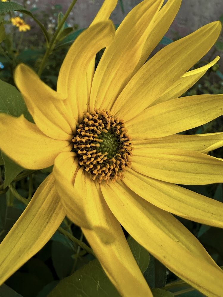 Photograph by Алёна Стародубцева