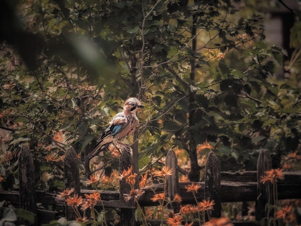 Photograph by Виктория Селютина