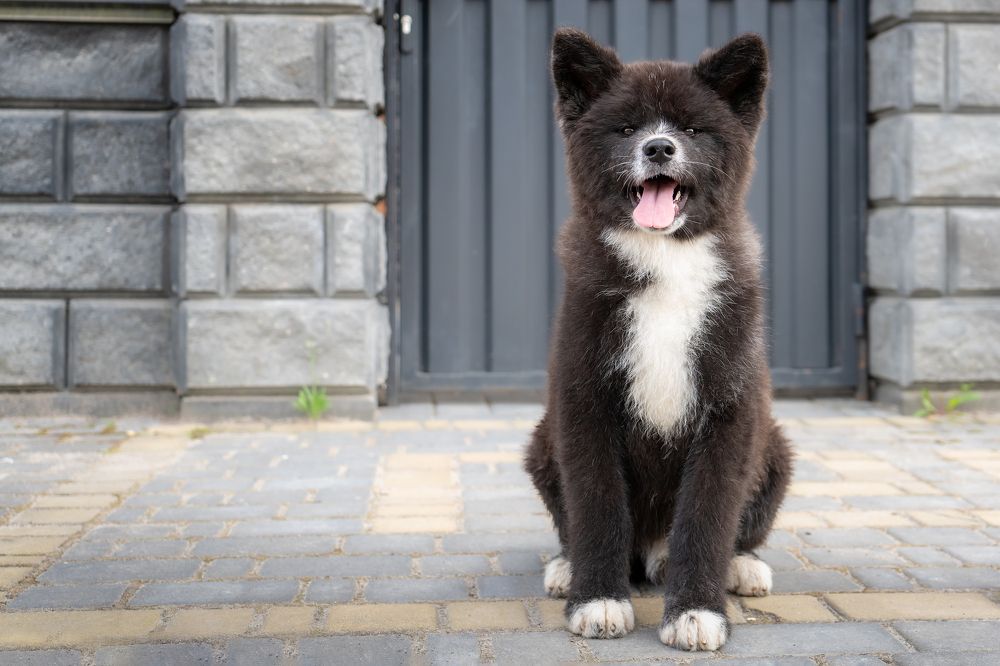 Photograph by Валентина Найдюк