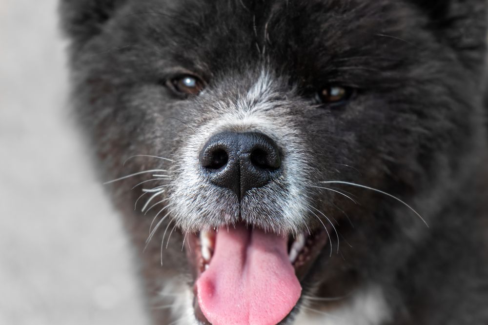 Photograph by Валентина Найдюк