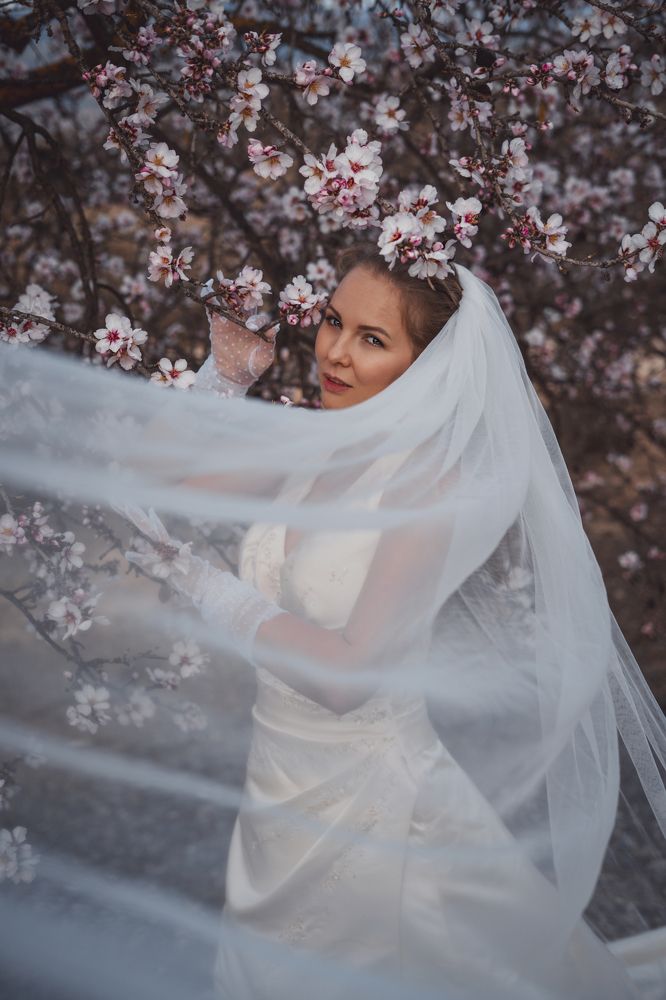 Photograph by Анастасия