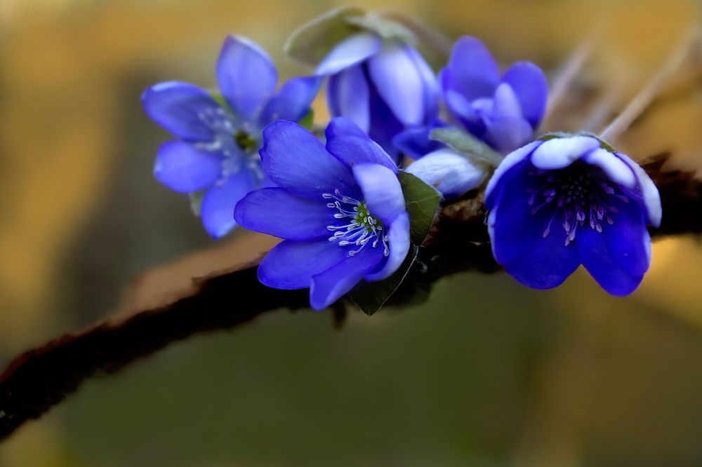 Photograph by Олеся Королева