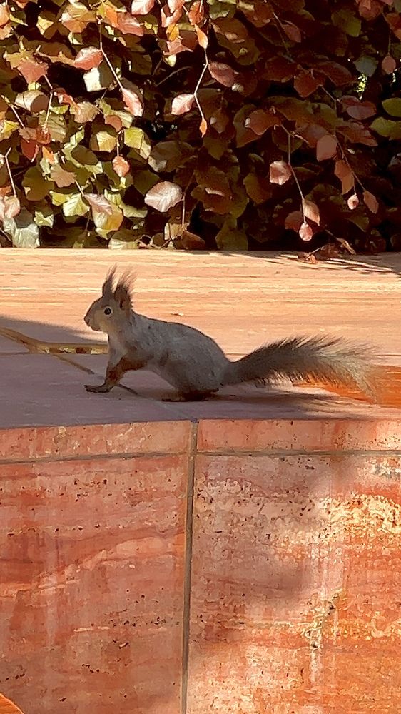 Photograph by Елена Громова