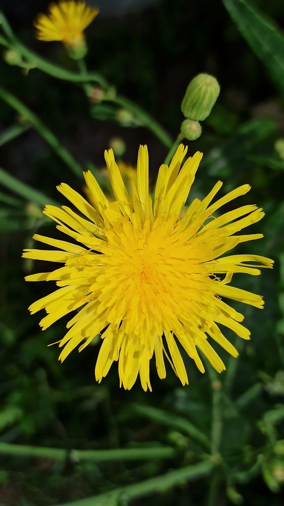 Photograph by Людмила Щуцкая