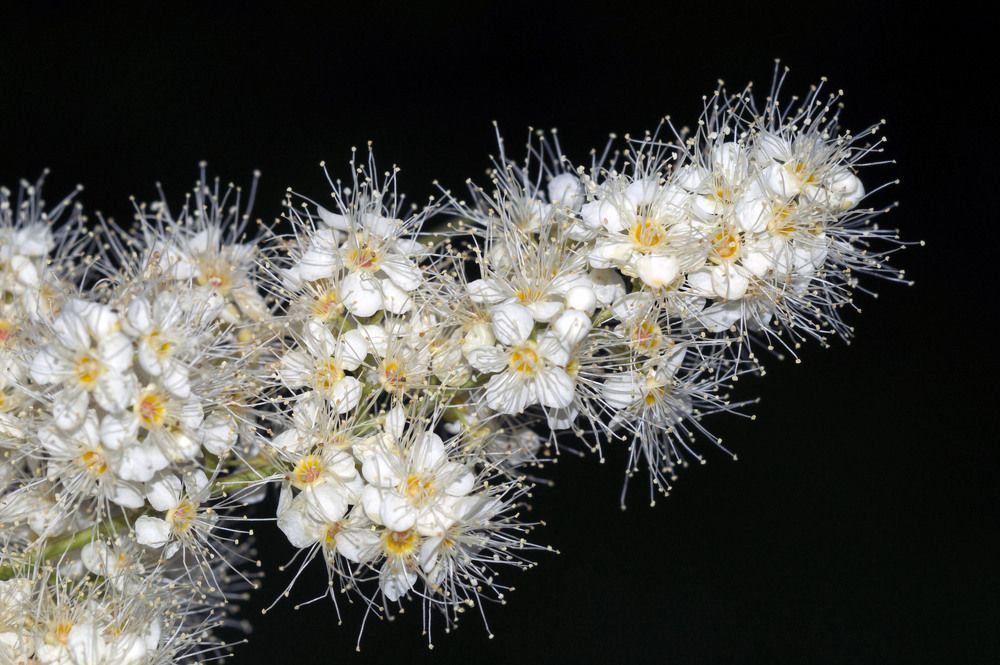 Photograph by Аlessandro