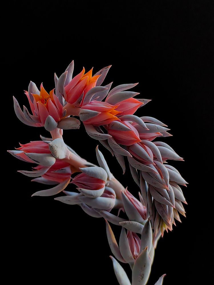 Photograph by Евгений Симион