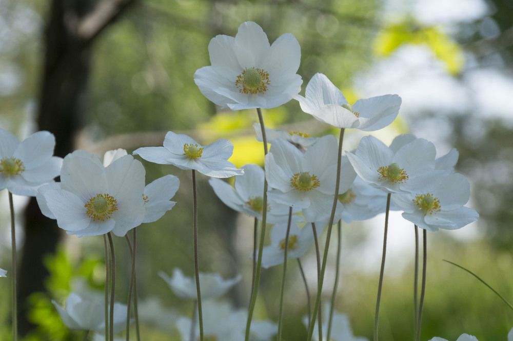 Photograph by Аlessandro