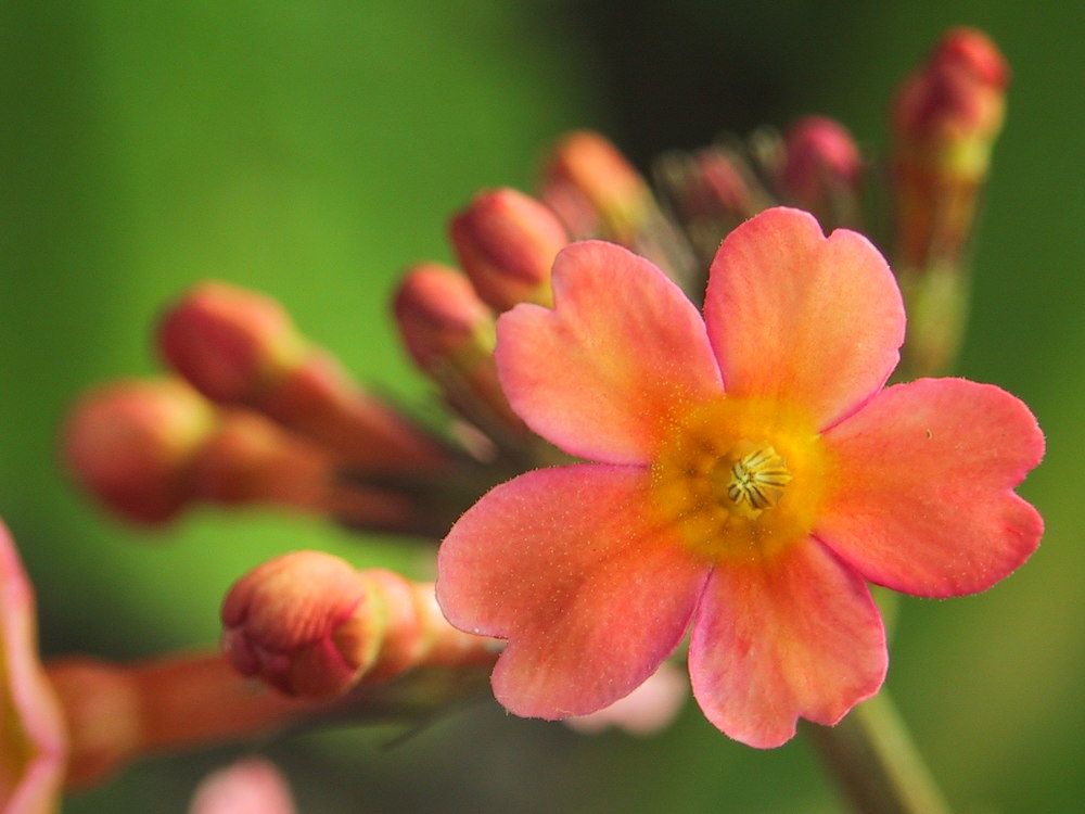 Photograph by Дмитрий Ткаченко