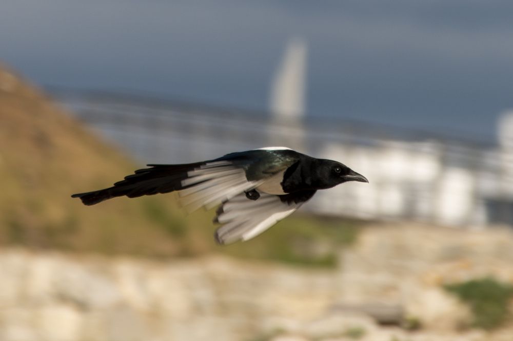 Photograph by Екатерина Якель