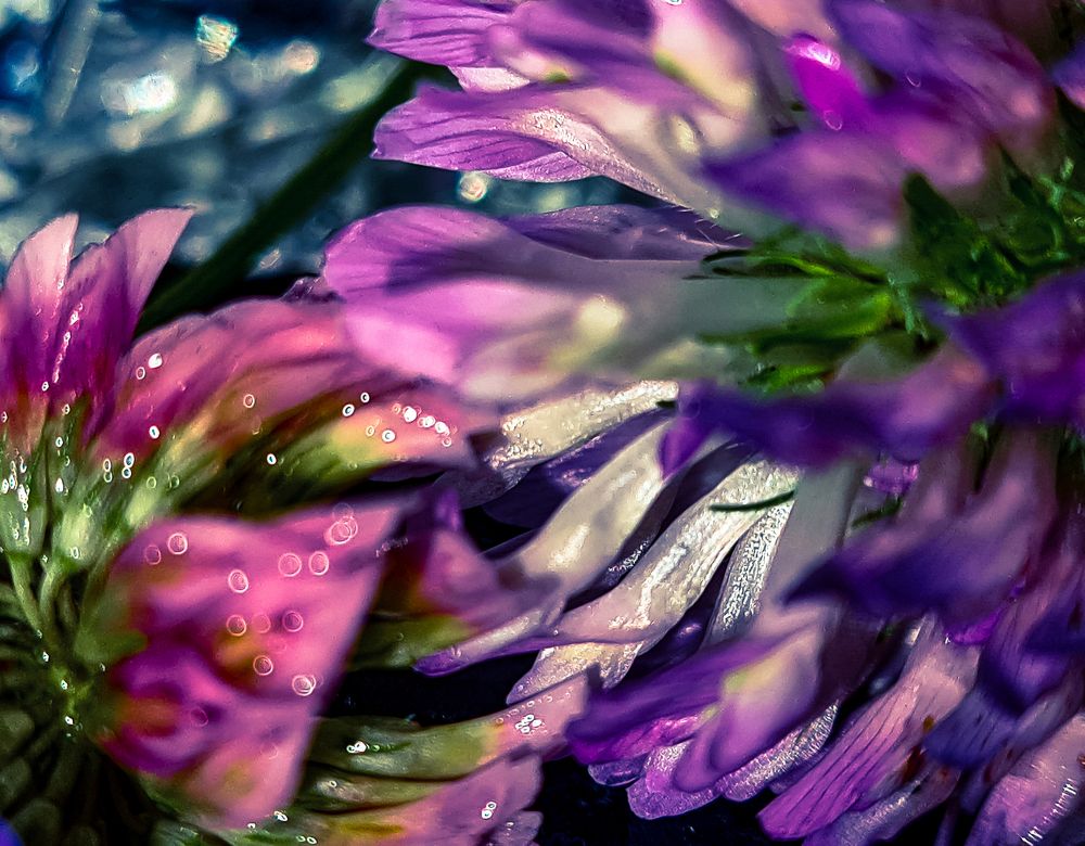 Photograph by Anna Prohorova
