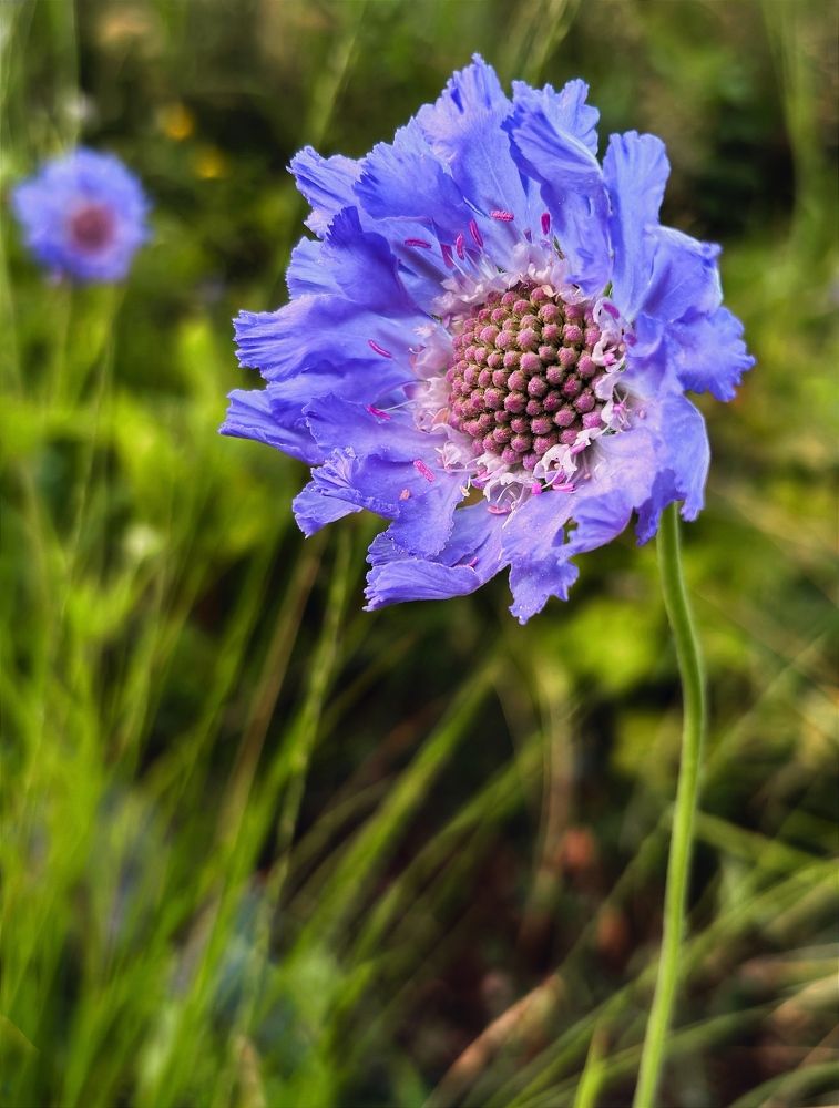 Photograph by Марина