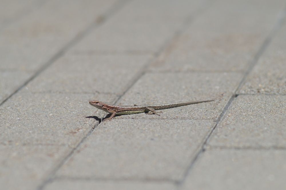 Photograph by Артём Пархоменко