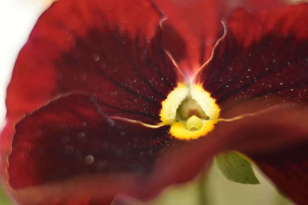 Фотография автора Tkachev Aleksey