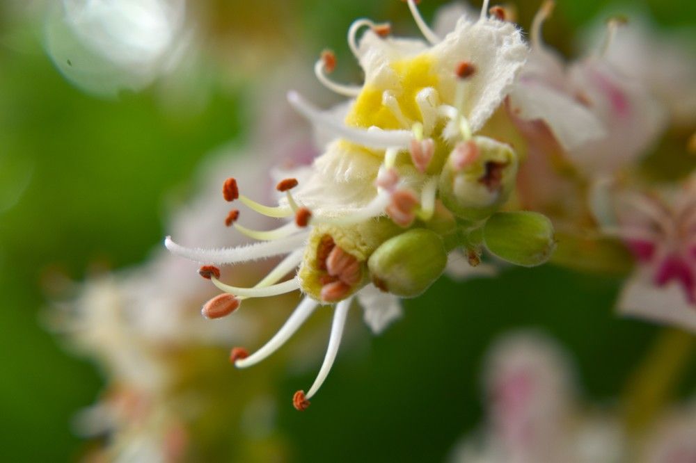 Фотография автора Tkachev Aleksey