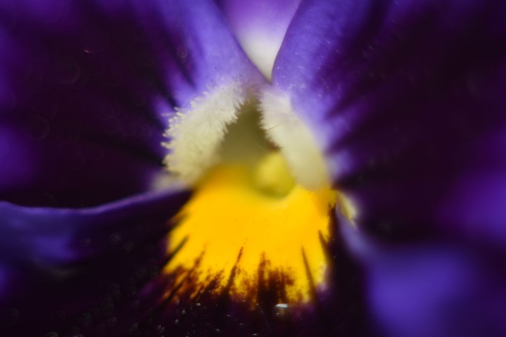 Фотография автора Tkachev Aleksey