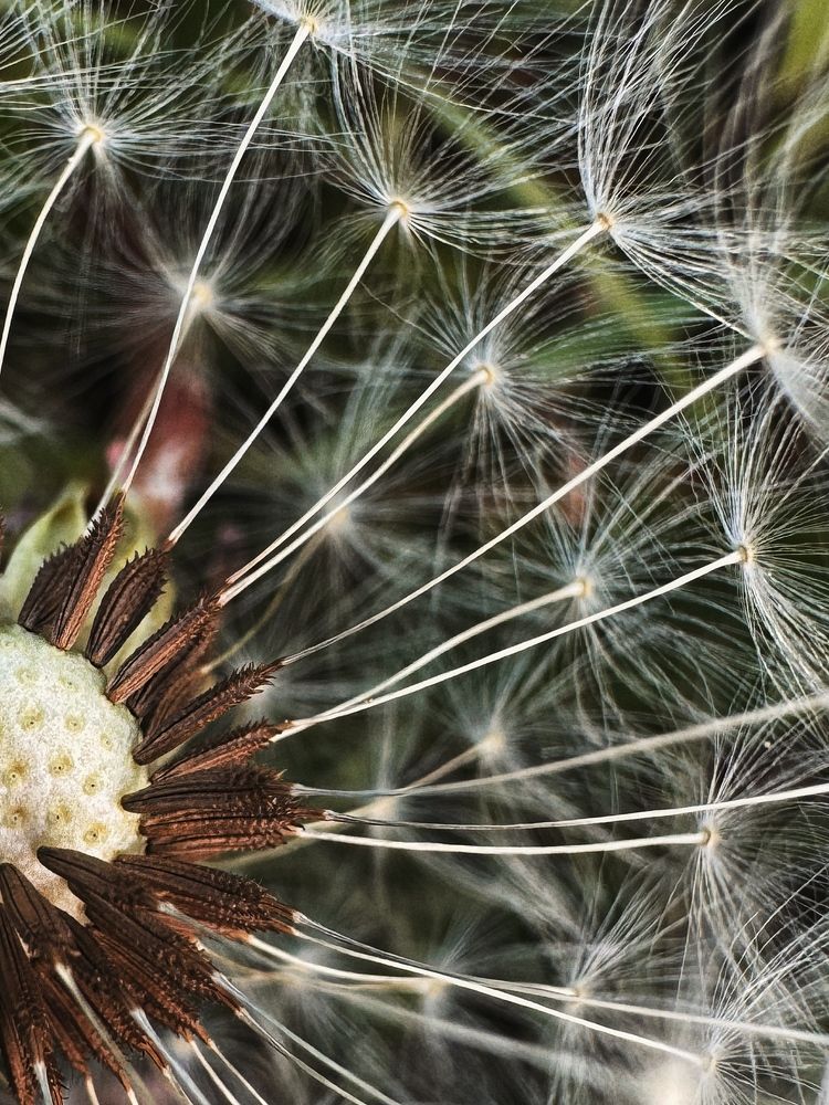 Фотография автора Елена Поживилко