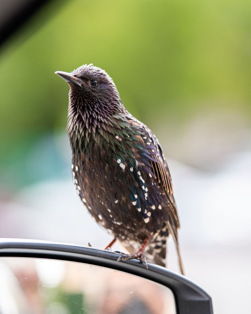 Photograph by Иван Грачев