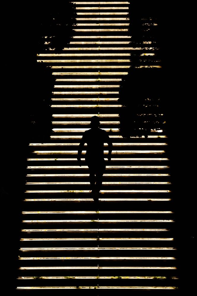 Photograph by Денис Труфанов