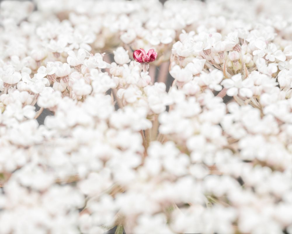 Фотография автора Jose CO