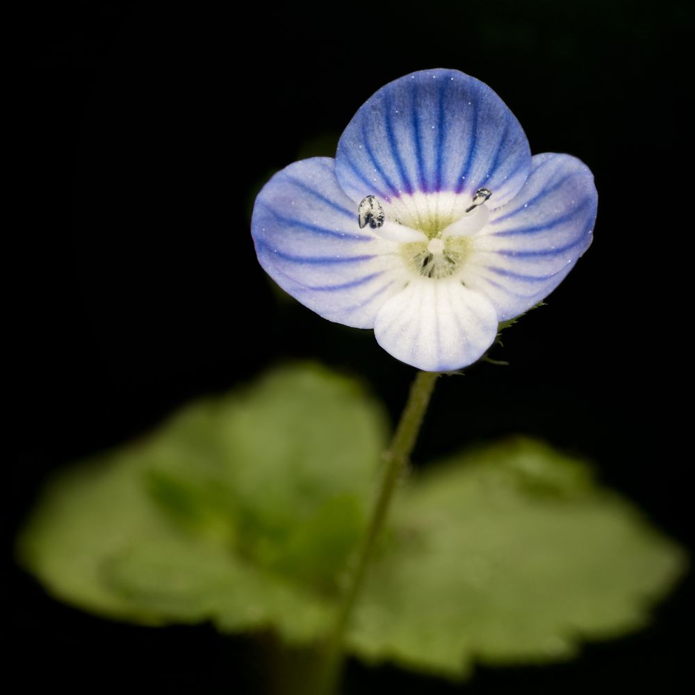 Фотография автора Jose CO