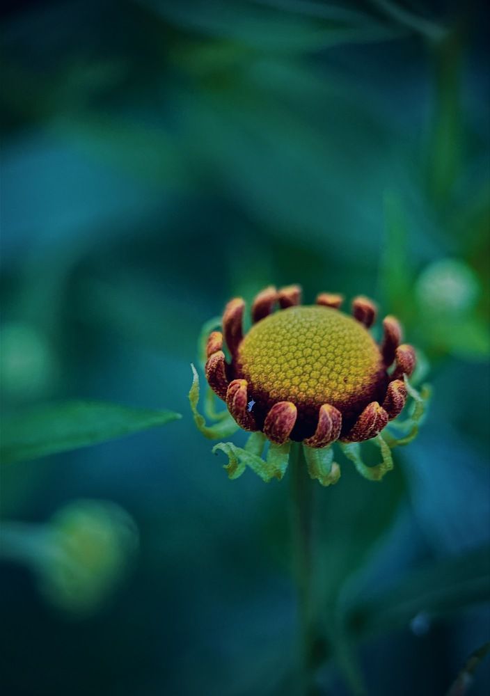 Photograph by Oxana Petlina