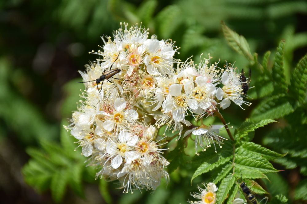 Photograph by Роман Блинов