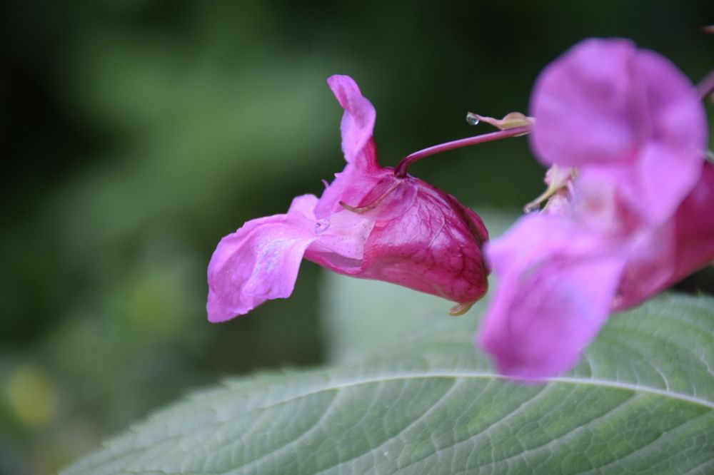 Photograph by Роман Блинов