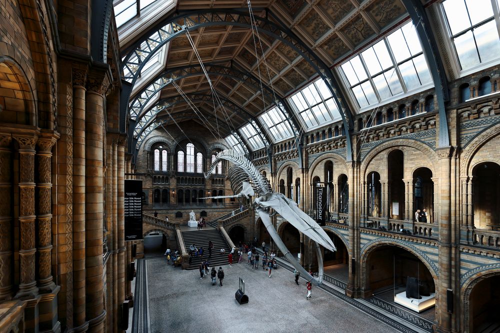 Photograph by Jennath Riyas Poozhithara