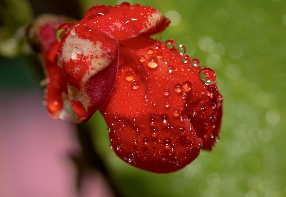 Фотография автора Ираида Гайфуллина