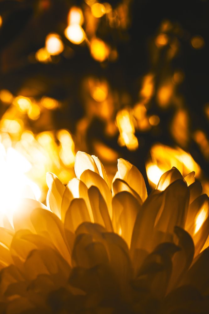 Photograph by Алексей Немчинов