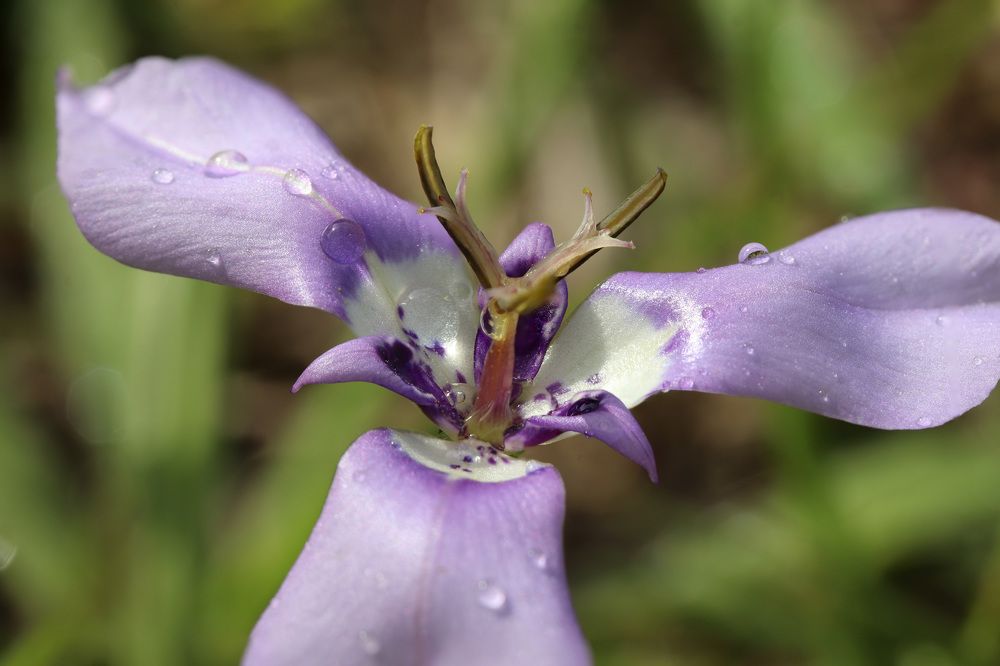 Photograph by Анатолий Костерев