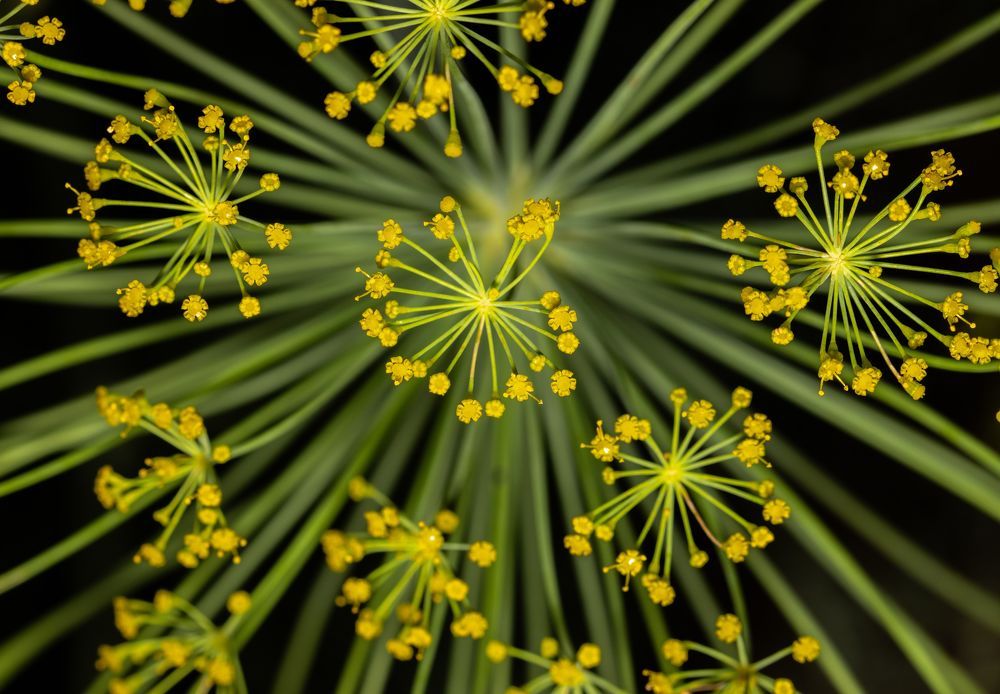 Photograph by Анатолий Костерев