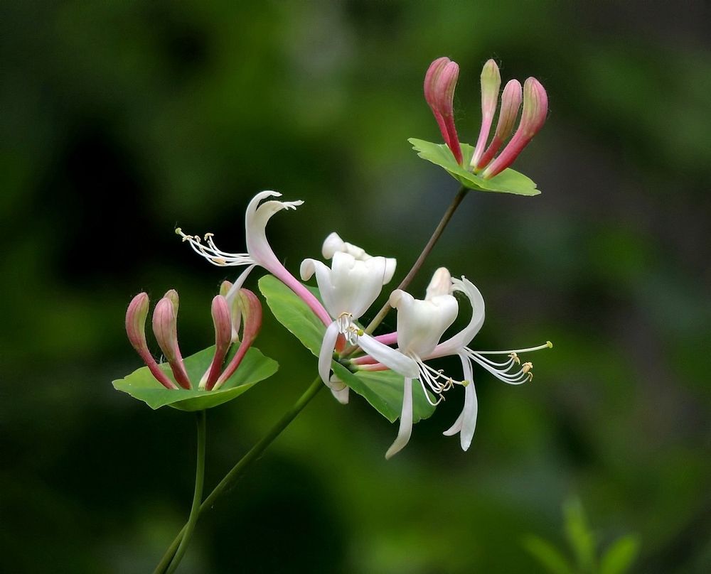 Photograph by Савоцкий Роман