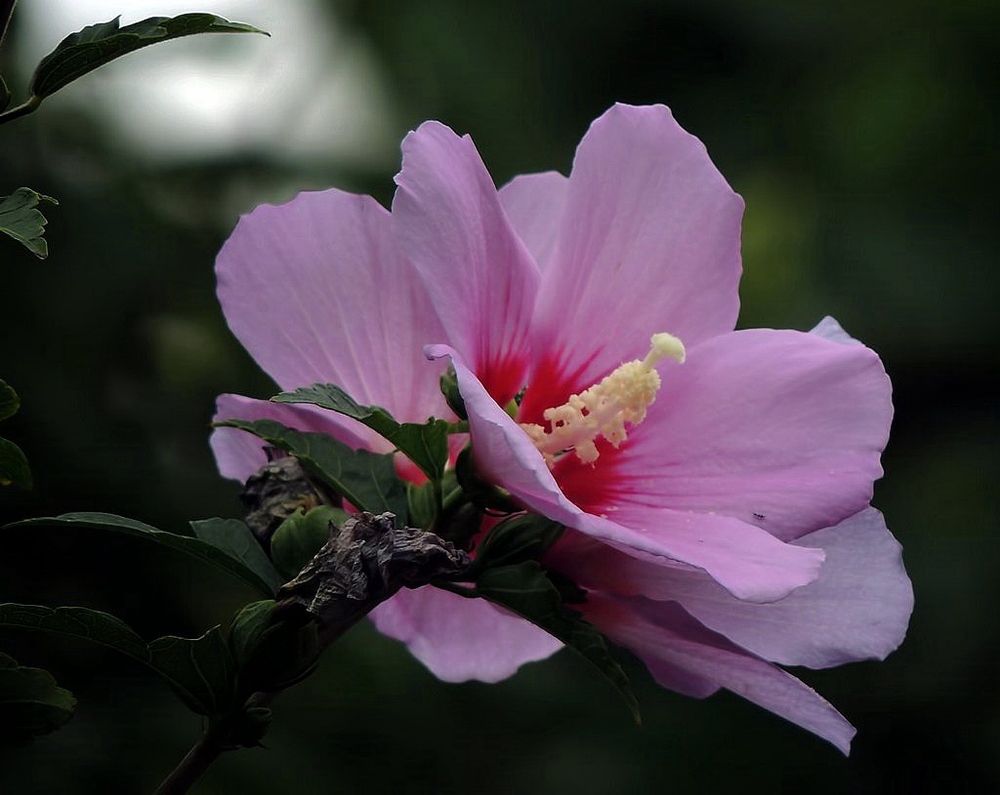 Фотография автора Роман Савоцкий