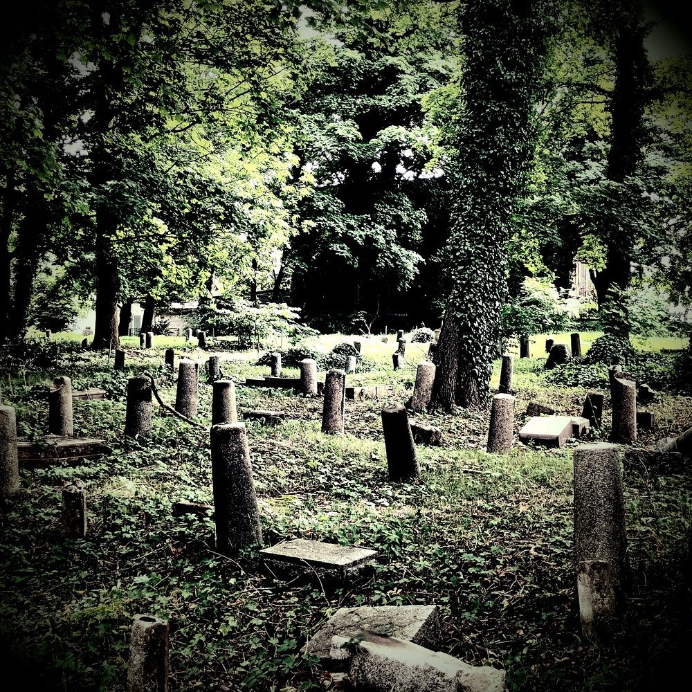 Фотография автора Maks Lanister