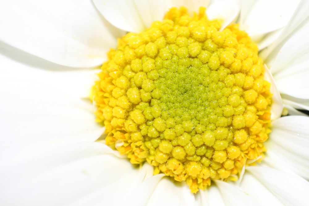 Photograph by Ariana Herrera