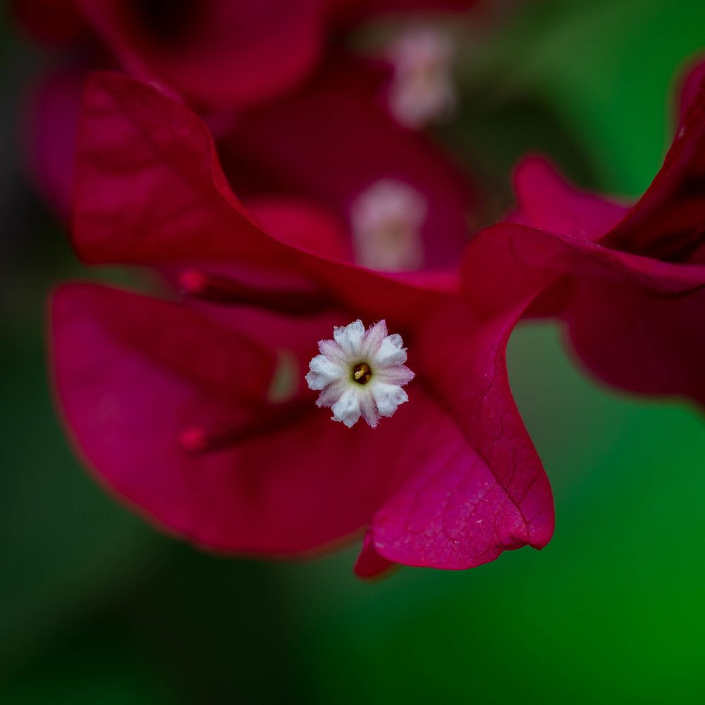 Фотография автора Дмитрий Referee