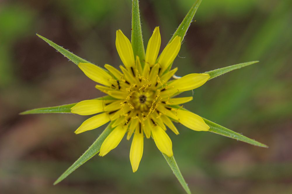 Photograph by Ирина Дмитриенко